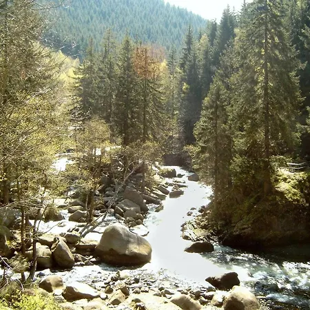 Monteurwohnung Max 5 Personen * Langelsheim