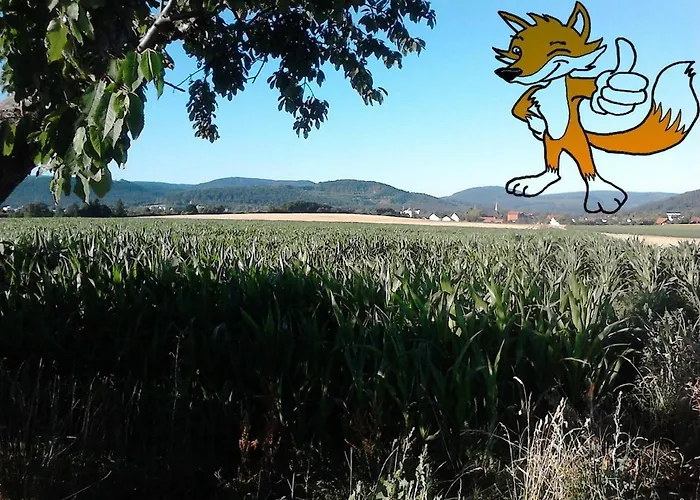 Monteurwohnung Max 5 Personen * Langelsheim